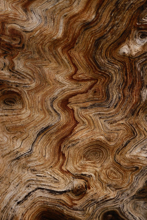 Rosmarin Holz Hautpflege, Natürliches Serum mit Rosmarinextrakt, Kräuterextrakt Gesichtspflege, Holzige Note Hautpflege, Luxuriöses Rosmarin Serum, Rosemary wood serum, Herbal extract skincare, Natural rosemary face serum, Woody herbal skincare, Luxury rosemary drops